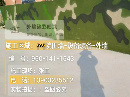 阳江 迷彩漆喷涂价格（按平方米计费）