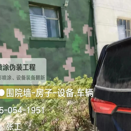 阳江数码迷彩漆施工